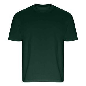 Ecologie Unisex Adult Arrow Recycled Heavy Oversized T-Shirt / Green